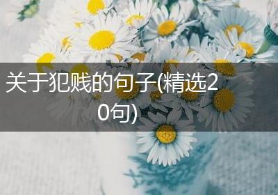 关于犯贱的句子(精选20句)