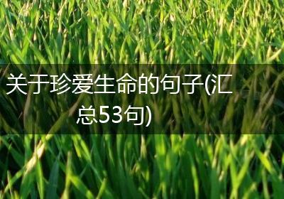 关于珍爱生命的句子(汇总53句)