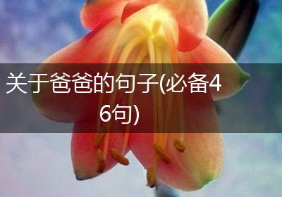 关于爸爸的句子(必备46句)