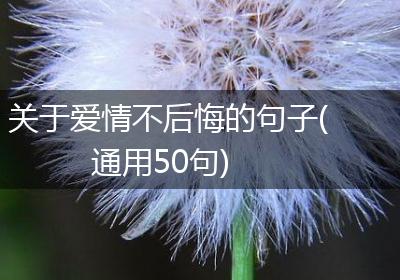 关于爱情不后悔的句子(通用50句)
