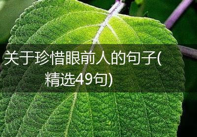 关于珍惜眼前人的句子(精选49句)