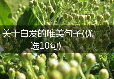 关于白发的唯美句子(优选10句)