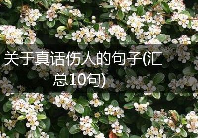 关于真话伤人的句子(汇总10句)