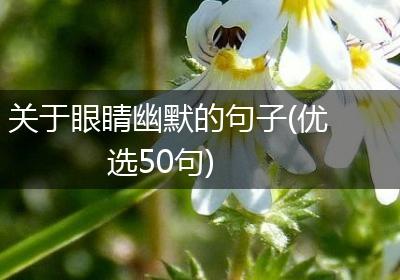 关于眼睛幽默的句子(优选50句)