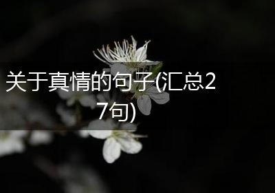 关于真情的句子(汇总27句)