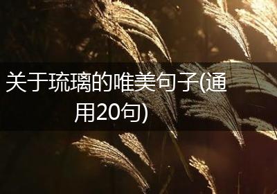 关于琉璃的唯美句子(通用20句)