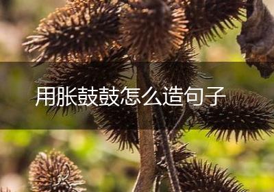 用胀鼓鼓怎么造句子