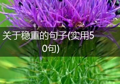 关于稳重的句子(实用50句)