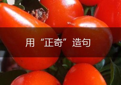 用“正奇”造句