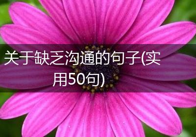 关于缺乏沟通的句子(实用50句)
