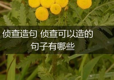 侦查造句 侦查可以造的句子有哪些