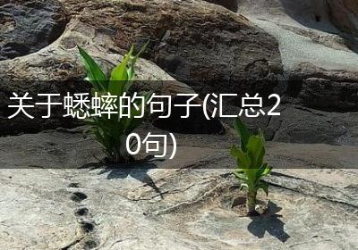 关于蟋蟀的句子(汇总20句)