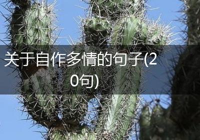 关于自作多情的句子(20句)