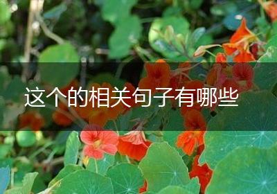 这个的相关句子有哪些