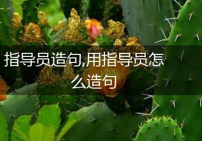 指导员造句,用指导员怎么造句