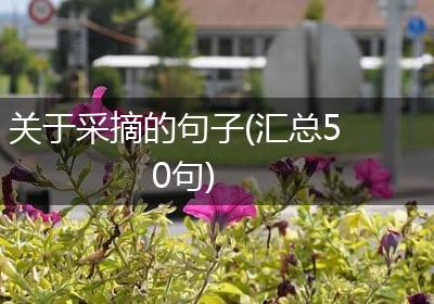 关于采摘的句子(汇总50句)