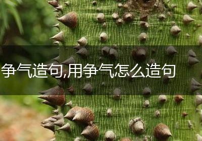 争气造句,用争气怎么造句