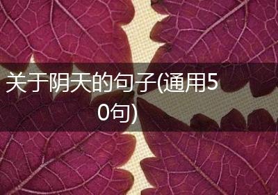 关于阴天的句子(通用50句)