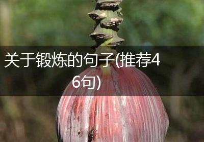 关于锻炼的句子(推荐46句)