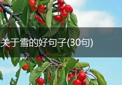 关于雪的好句子(30句)