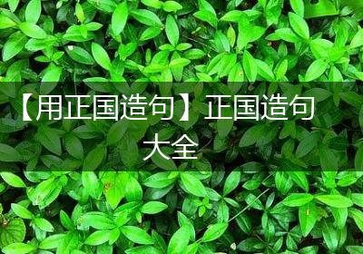 【用正国造句】正国造句大全