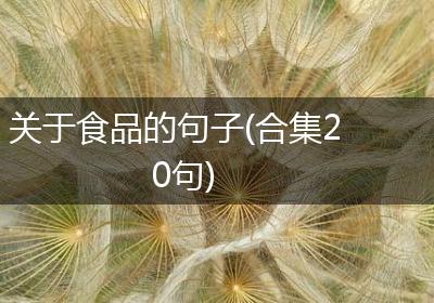 关于食品的句子(合集20句)