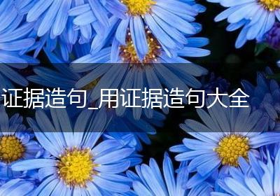 证据造句_用证据造句大全