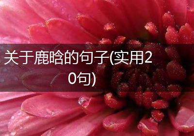 关于鹿晗的句子(实用20句)
