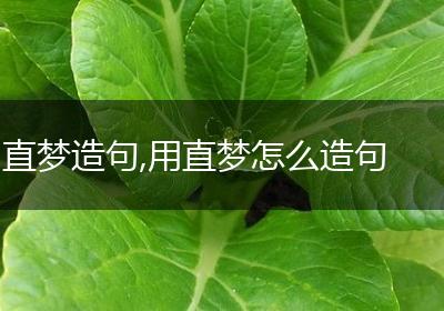 直梦造句,用直梦怎么造句