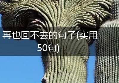再也回不去的句子(实用50句)