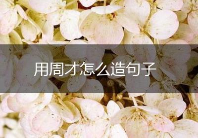 用周才怎么造句子