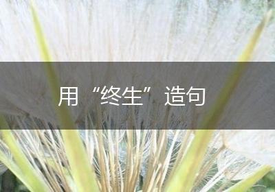 用“终生”造句