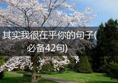 其实我很在乎你的句子(必备42句)