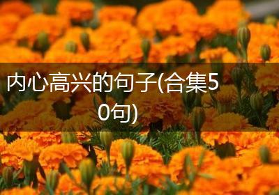 内心高兴的句子(合集50句)