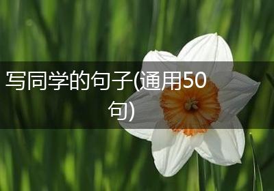 写同学的句子(通用50句)