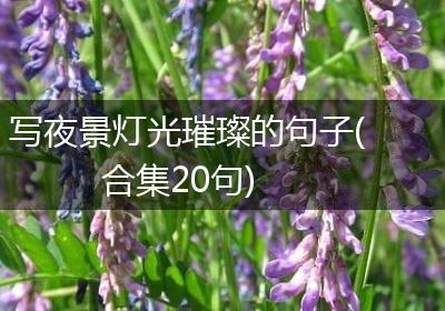 写夜景灯光璀璨的句子(合集20句)