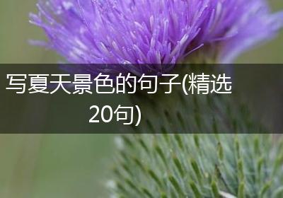 写夏天景色的句子(精选20句)