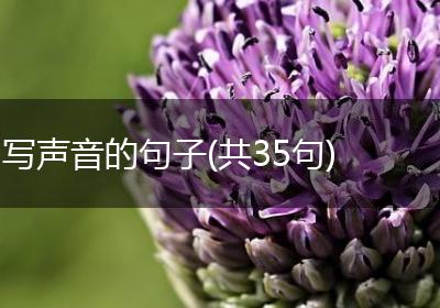 写声音的句子(共35句)