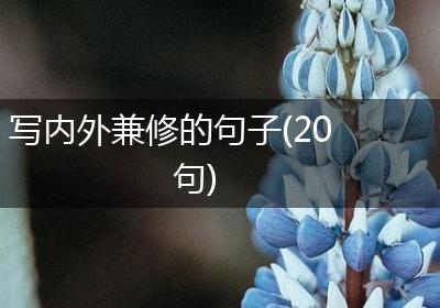 写内外兼修的句子(20句)