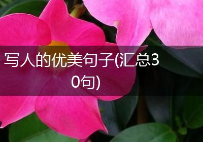 写人的优美句子(汇总30句)