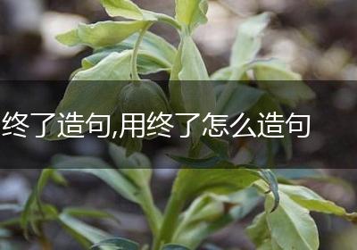 终了造句,用终了怎么造句