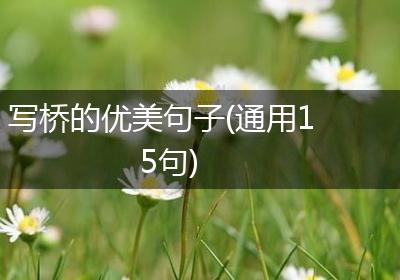 写桥的优美句子(通用15句)