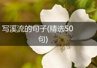 写溪流的句子(精选50句)