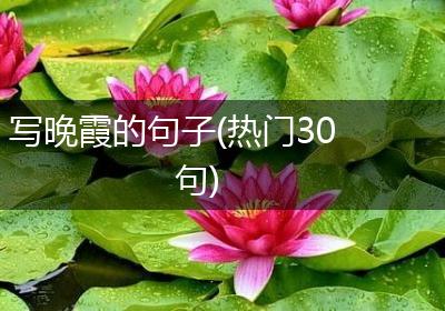 写晚霞的句子(热门30句)
