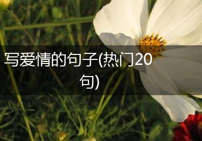写爱情的句子(热门20句)