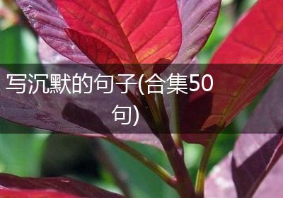 写沉默的句子(合集50句)