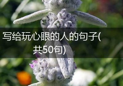 写给玩心眼的人的句子(共50句)