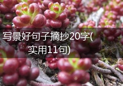 写景好句子摘抄20字(实用11句)