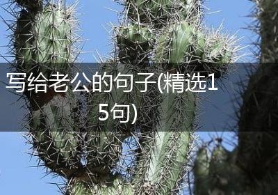 写给老公的句子(精选15句)