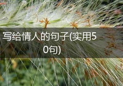 写给情人的句子(实用50句)